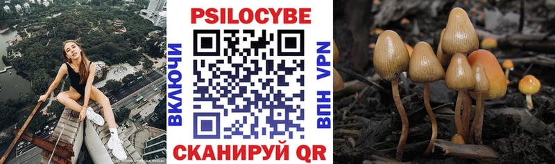 Галлюциногенные грибы GOLDEN TEACHER  МЕГА ТОР  Исилькуль 